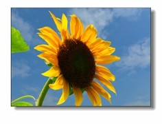 旧尼康d300s的拍摄。