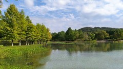 湖畔秋景