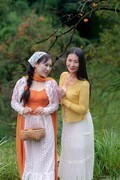 秋日好“柿”