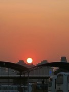 漫步星城 （923）不冷也不热