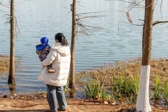 庐州印象（556）复兴集