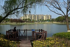 漫步大阳垾（续2）