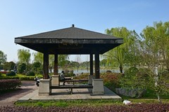 漫步大阳垾（续2）