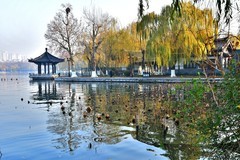 【视觉光影】明 湖 初 冬（6）