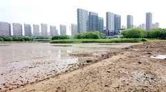 防汛