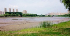 防汛