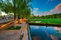 昆明翠湖风景 15