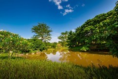 西双版纳热带植物园12