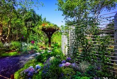 深圳仙湖植物园 掠影