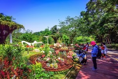 深圳仙湖植物园 掠影