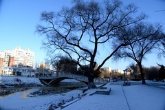 冬日——双龙公园（7）