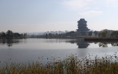 青龙湖湿地公园游拍