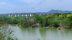 休闲好去处郊野公园