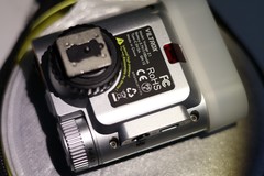 试一下新相机和镜头