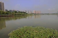 松雅湖湿地公园--1