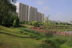 松雅湖湿地公园--1