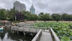 雨 中 劳 动 公 园