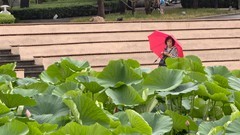 雨 中 劳 动 公 园