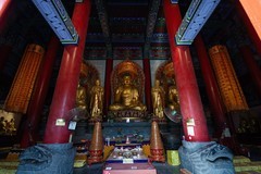 中原大佛   二