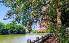 [26316] 石井河畔