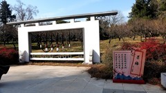 武汉映像---东湖梅园风光！