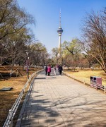 手机游拍20260316《28》