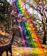 手机游拍20260316《28》