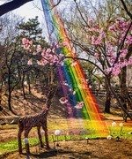 手机游拍20260316《28》