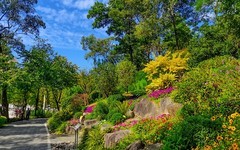 [26117] 云萝植物园（2）