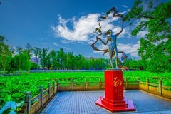 昆明翠湖风景 16