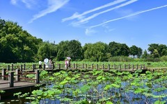 东湖风光