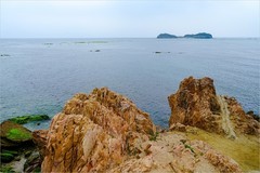 2026年第0469贴 -大连傅家庄海滨（0711）