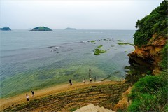 2026年第0469贴 -大连傅家庄海滨（0711）