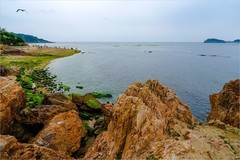 2026年第0468贴 -大连傅家庄海滨（0711）
