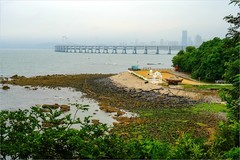 2026年第0468贴 -大连傅家庄海滨（0711）