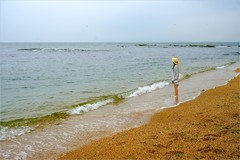 2026年第0468贴 -大连傅家庄海滨（0711）