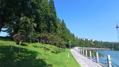 烈士公园风景【大疆运动相机】42
