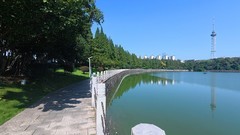 烈士公园风景【大疆运动相机】42