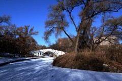 冬日——阳明公园（2）