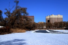 冬日——阳明公园（2）