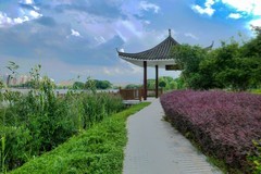 雨后初晴（续）