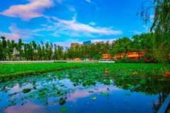 昆明翠湖风景 17