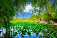 昆明翠湖风景 17