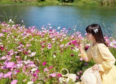 洋湖花花正开