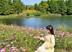 洋湖花花正开