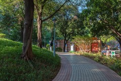 光影小景（小区内外）