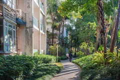 光影小景（小区内外）