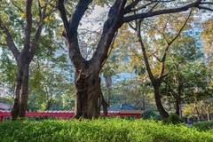 光影小景（小区内外）