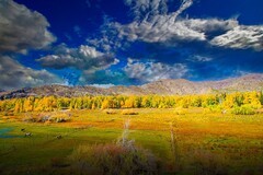 可可托海风景 18