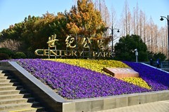 这里的冬天温暖如春（Z5相机戴环拍摄）